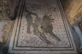 perros peligrosos pompeya