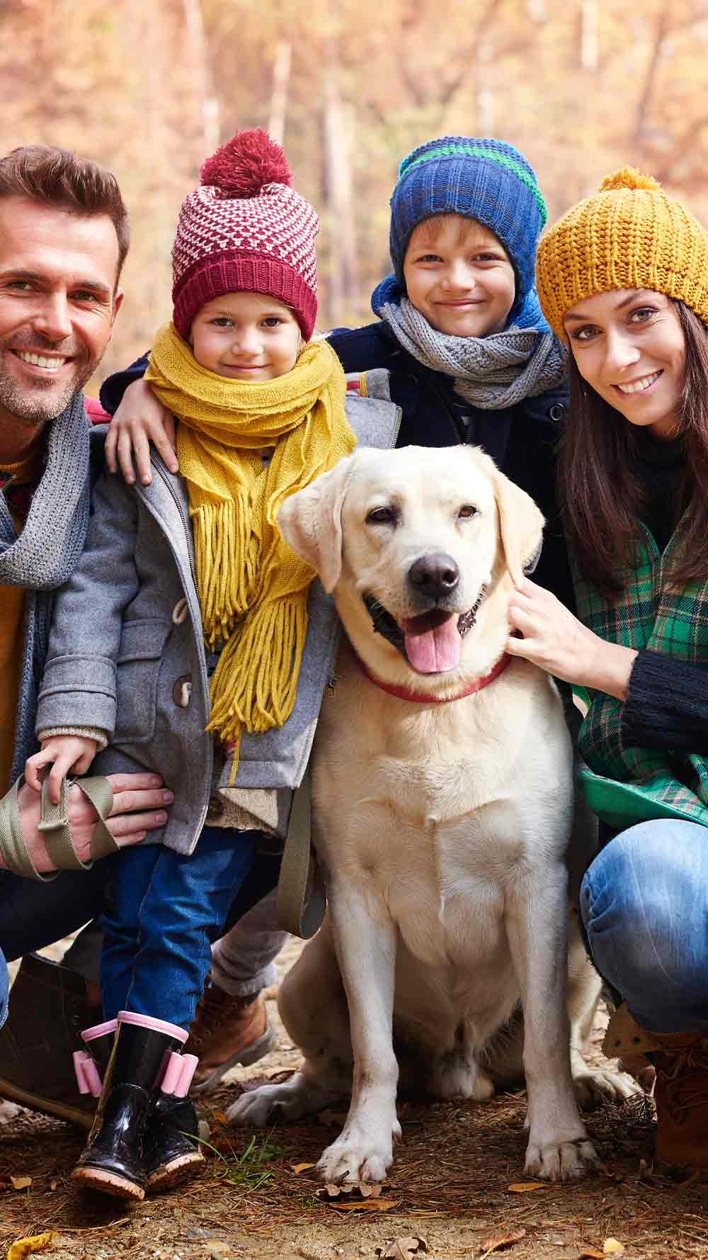 banner-mv-home-nuevo-seguro-decesos