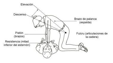 cardiorrespiratoria