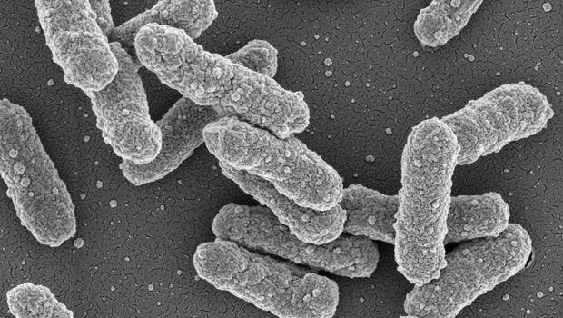 Breve historia de las epidemias que cambiaron el mundo