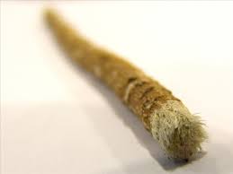 miswak antecedente del cepillo de dientes