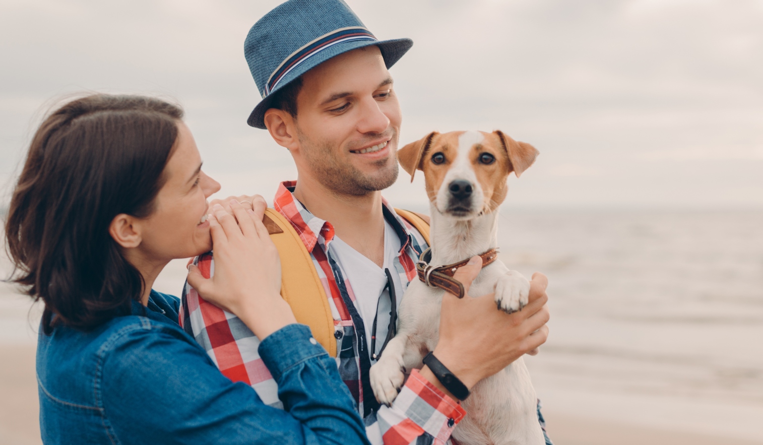 Viajar con mascotas en España: normativa, transporte y coberturas del seguro